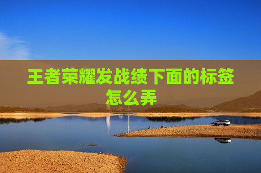 王者荣耀发战绩下面的标签怎么弄
