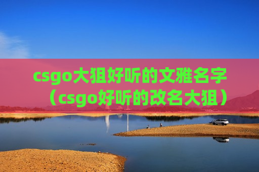 csgo大狙好听的文雅名字（csgo好听的改名大狙）