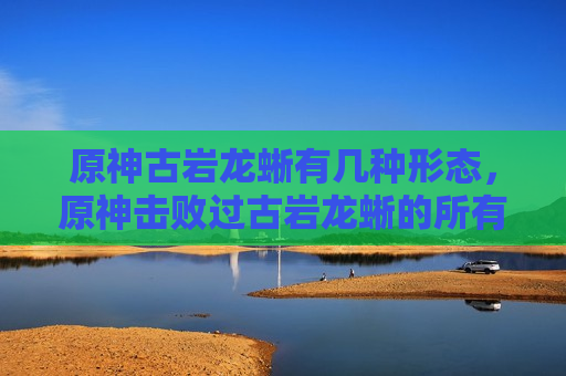 原神古岩龙蜥有几种形态，原神击败过古岩龙蜥的所有元素形态