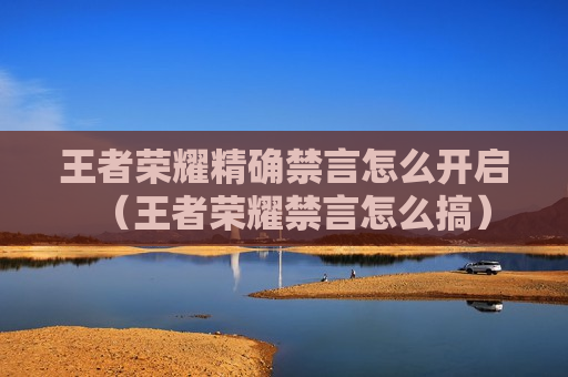 王者荣耀精确禁言怎么开启（王者荣耀禁言怎么搞）