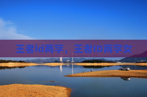 王者id两字，王者ID两字女