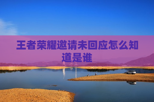 王者荣耀邀请未回应怎么知道是谁