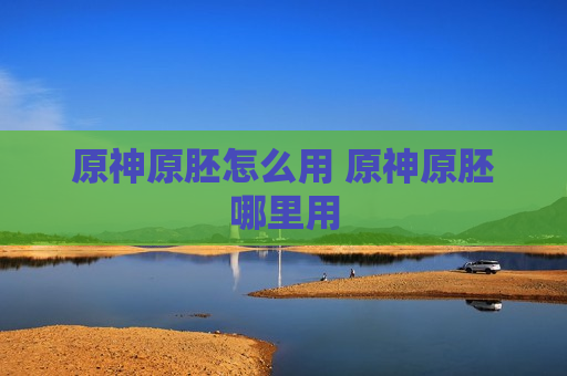 原神原胚怎么用 原神原胚哪里用