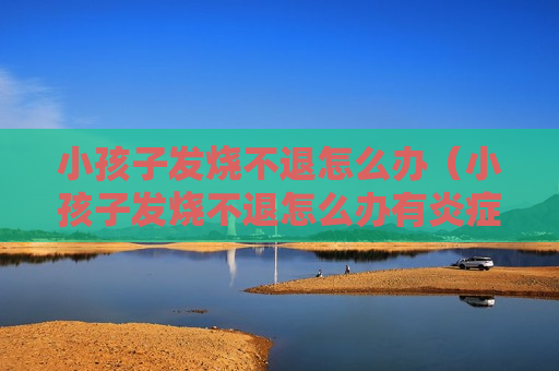 小孩子发烧不退怎么办（小孩子发烧不退怎么办有炎症）