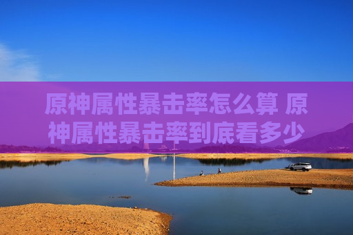 原神属性暴击率怎么算 原神属性暴击率到底看多少