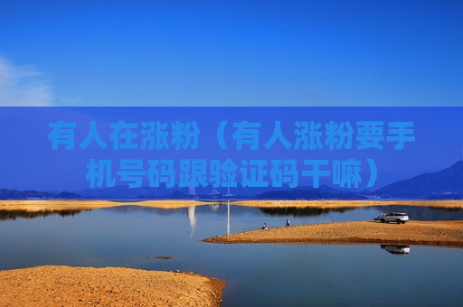 有人在涨粉（有人涨粉要手机号码跟验证码干嘛）