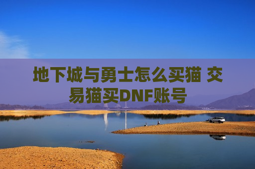 地下城与勇士怎么买猫 交易猫买DNF账号