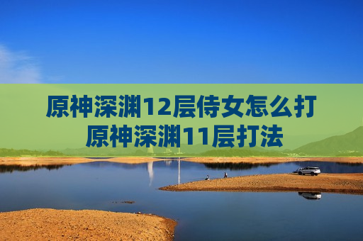 原神深渊12层侍女怎么打 原神深渊11层打法