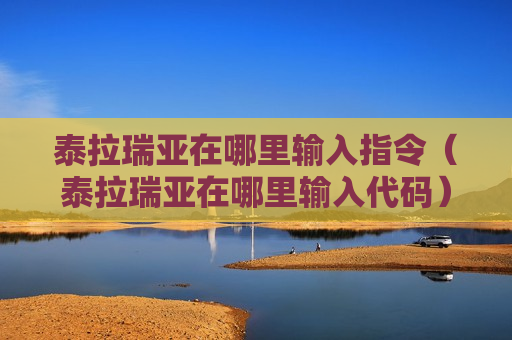 泰拉瑞亚在哪里输入指令（泰拉瑞亚在哪里输入代码）
