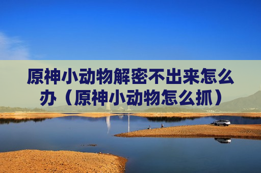 原神小动物解密不出来怎么办（原神小动物怎么抓）