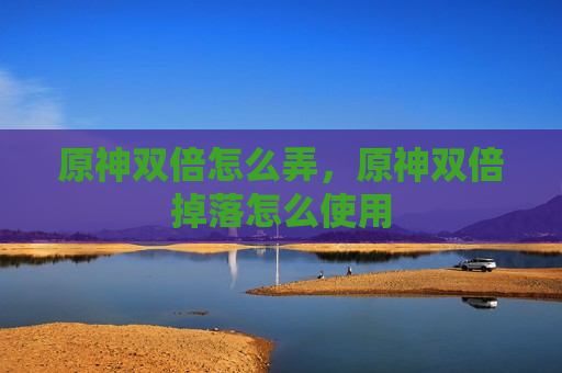 原神双倍怎么弄，原神双倍掉落怎么使用