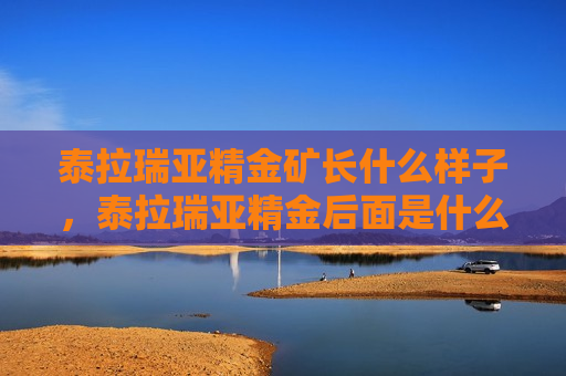 泰拉瑞亚精金矿长什么样子，泰拉瑞亚精金后面是什么矿