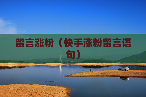 留言涨粉（快手涨粉留言语句）