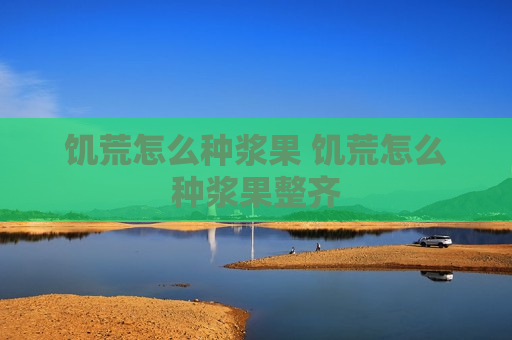 饥荒怎么种浆果 饥荒怎么种浆果整齐