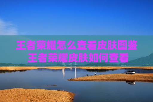 王者荣耀怎么查看皮肤图鉴 王者荣耀皮肤如何查看