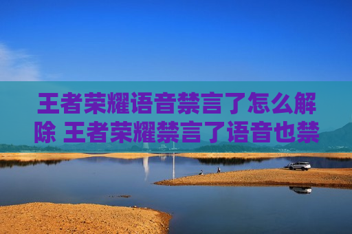 王者荣耀语音禁言了怎么解除 王者荣耀禁言了语音也禁了吗?