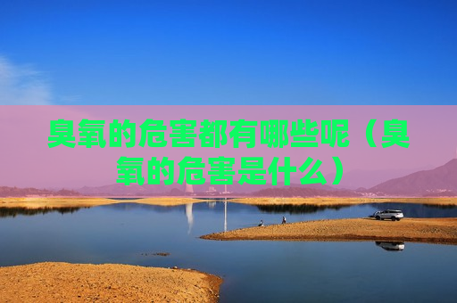 臭氧的危害都有哪些呢（臭氧的危害是什么）