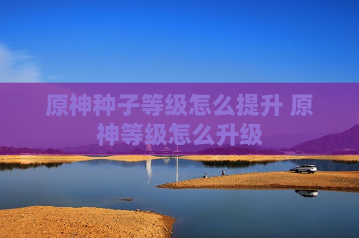 原神种子等级怎么提升 原神等级怎么升级