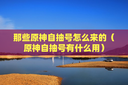 那些原神自抽号怎么来的（原神自抽号有什么用）