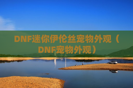 DNF迷你伊伦丝宠物外观（DNF宠物外观）