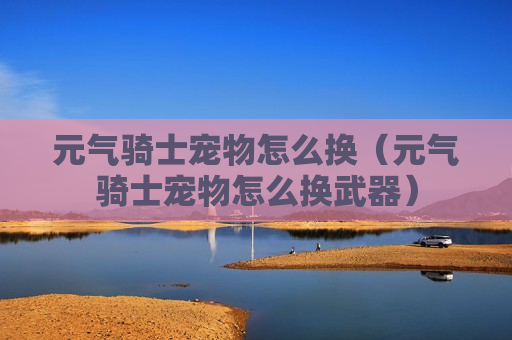 元气骑士宠物怎么换（元气骑士宠物怎么换武器）