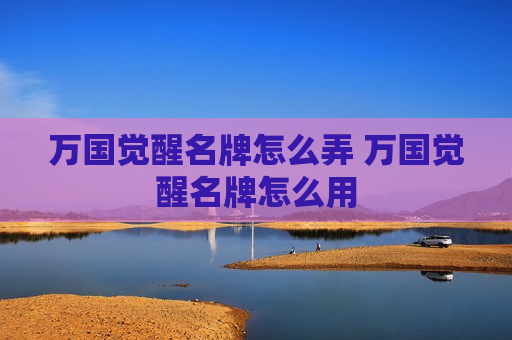 万国觉醒名牌怎么弄 万国觉醒名牌怎么用