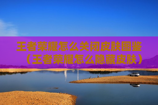 王者荣耀怎么关闭皮肤图鉴（王者荣耀怎么隐藏皮肤）