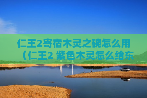 仁王2寄宿木灵之碗怎么用（仁王2 紫色木灵怎么给东西）