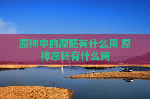 原神中的原胚有什么用 原神原胚有什么用