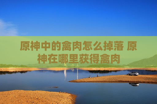 原神中的禽肉怎么掉落 原神在哪里获得禽肉