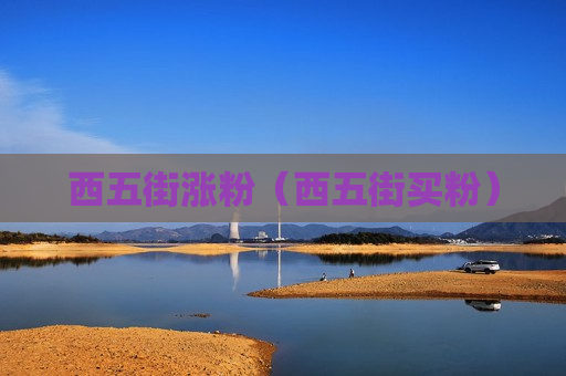 西五街涨粉（西五街买粉）
