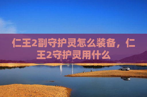 仁王2副守护灵怎么装备，仁王2守护灵用什么