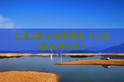 仁王2怎么洗属性点（仁王怎么洗加点）