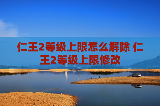 仁王2等级上限怎么解除 仁王2等级上限修改