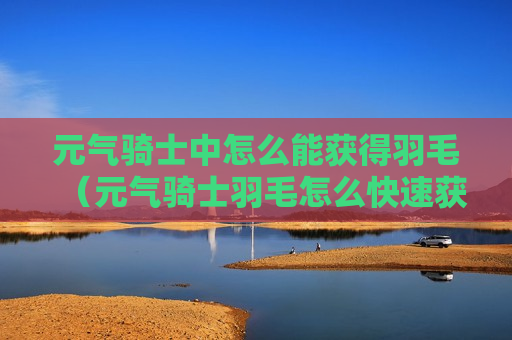 元气骑士中怎么能获得羽毛（元气骑士羽毛怎么快速获得）