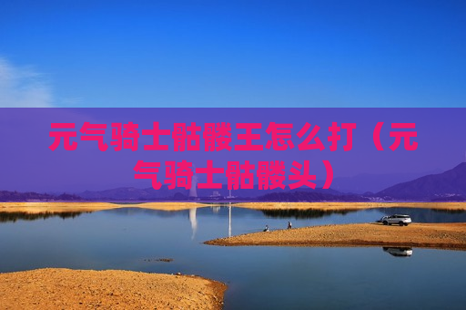 元气骑士骷髅王怎么打（元气骑士骷髅头）