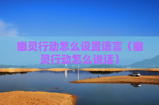 幽灵行动怎么设置语言（幽灵行动怎么说话）