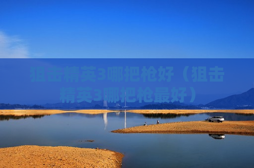 狙击精英3哪把枪好（狙击精英3哪把枪最好）
