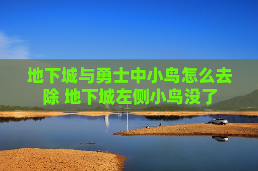 地下城与勇士中小鸟怎么去除 地下城左侧小鸟没了