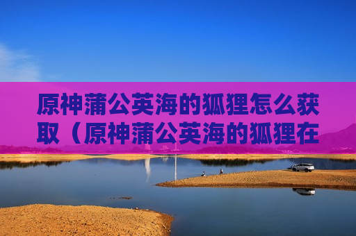 原神蒲公英海的狐狸怎么获取（原神蒲公英海的狐狸在哪）