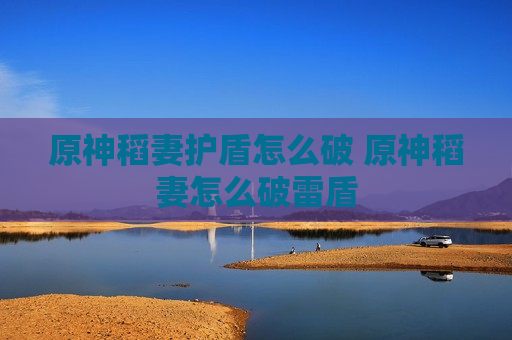 原神稻妻护盾怎么破 原神稻妻怎么破雷盾