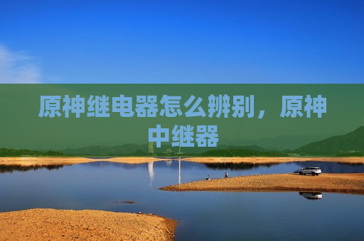 原神继电器怎么辨别，原神中继器