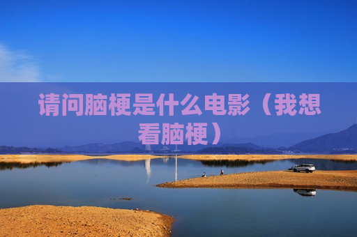 请问脑梗是什么电影（我想看脑梗）