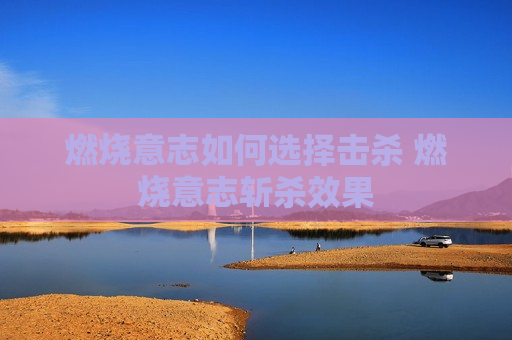 燃烧意志如何选择击杀 燃烧意志斩杀效果