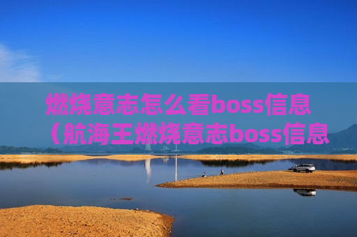 燃烧意志怎么看boss信息（航海王燃烧意志boss信息怎么看）