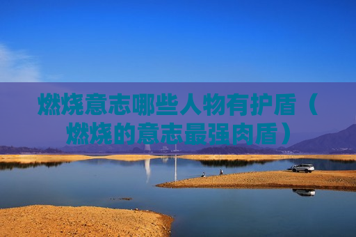 燃烧意志哪些人物有护盾（燃烧的意志最强肉盾）