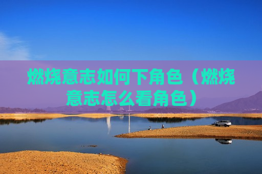 燃烧意志如何下角色（燃烧意志怎么看角色）
