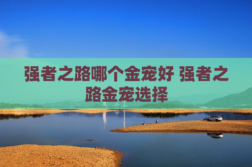 强者之路哪个金宠好 强者之路金宠选择