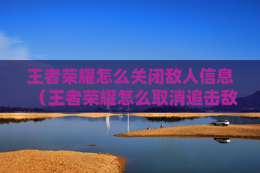 王者荣耀怎么关闭敌人信息（王者荣耀怎么取消追击敌人）