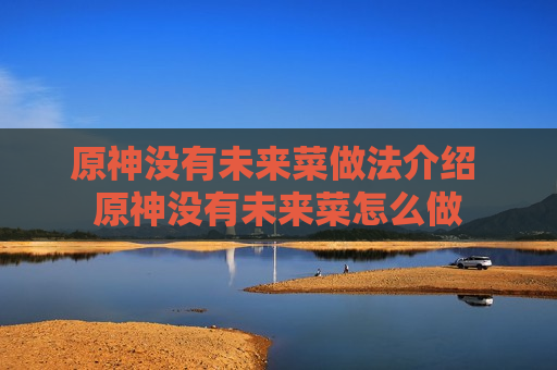 原神没有未来菜做法介绍 原神没有未来菜怎么做